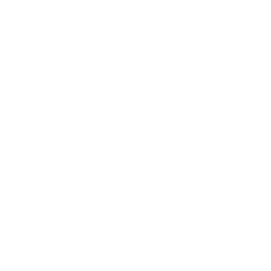 Bang and Olufsen Speakers