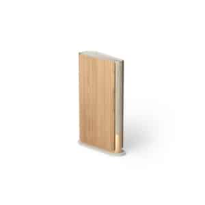 Bang & Olufsen Beosound Emerge Non GVA (Gold Tone)