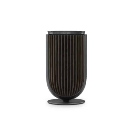 Bang Olufsen Beolab 8 Black Dark Oak