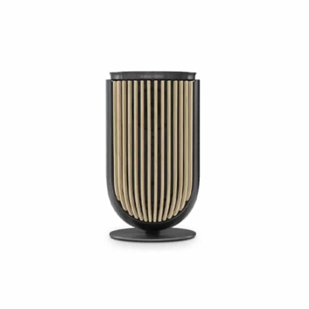 Bang Olufsen Beolab 8 Black Light Oak