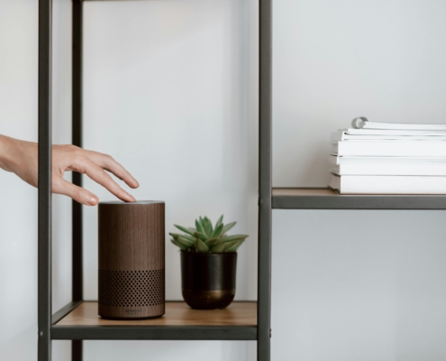 : Black framed minimalist bookshel with a small balck pot plant and a brown speaker with a hand tapping the speaker