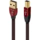 AudioQuest Forest USB-A > B High Definition Audio Cable AudioQuest Sight and Sound Galleria 2