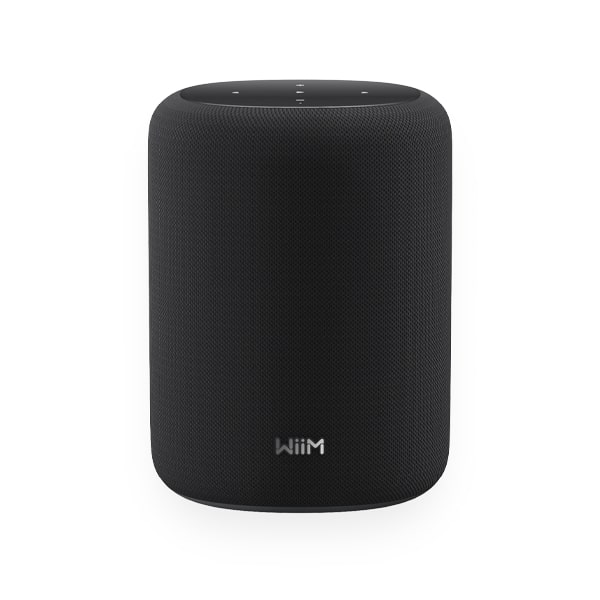 WiiM Sound Lite Smart Speaker (Black) WiiM Sight and Sound Galleria