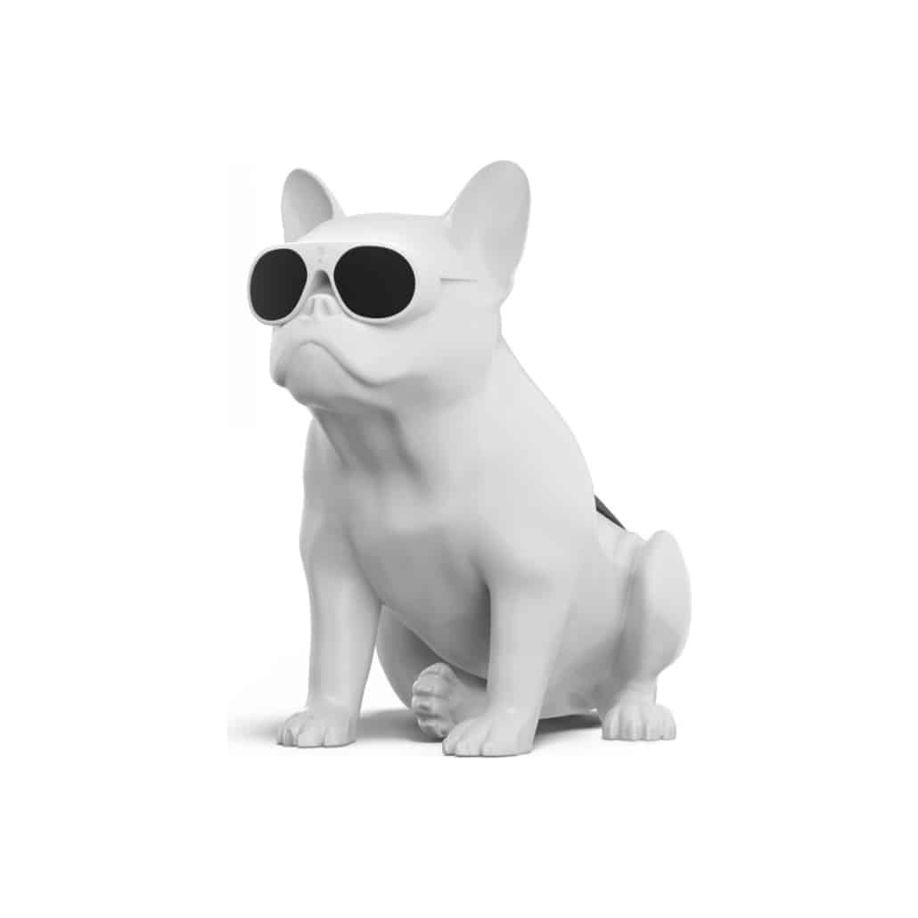 JarreBull Aero XS Bluetooth Speaker (Glossy White) JarreBull Sight and Sound Galleria