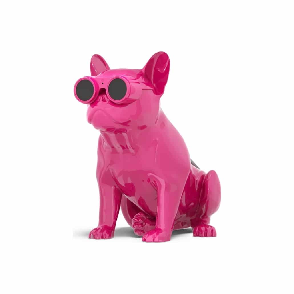 JarreBull Neo XS Bluetooth Speaker (Glossy Rose Red) JarreBull Sight and Sound Galleria